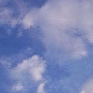 Meet your Posher, Samuel